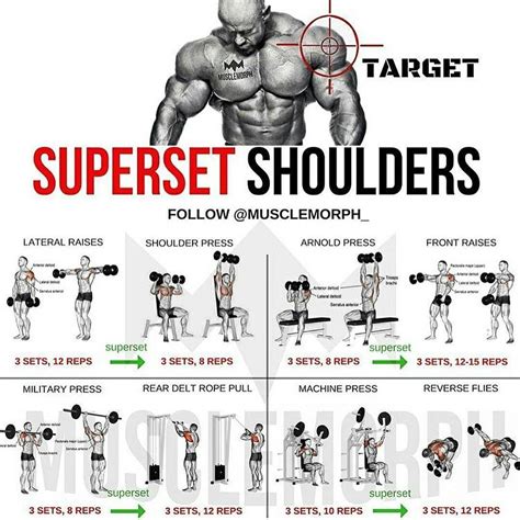 pin  steel armor  fitness workout shoulder workout workout