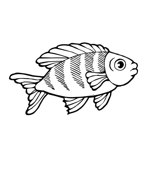marine animal coloring pages