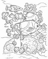 Coloring Poissons Arrecifes Reef Corail Arrecife Exotiques Fische Poisson Dover Nageant Erwachsene Under Corals Coloriages Seidenmalerei Ausmalen Adulte Malvorlagen Visiter sketch template