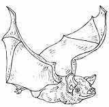 Bat 2118 Coloring Animals Printable Pages Kb Imprimer Coloriage sketch template