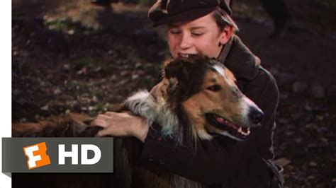 5 movie moments where man s best friend stole the show