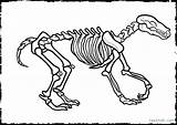 Dinosaur Coloring Bones Skeleton Pages Bone Getcolorings Getdrawings Drawing Color sketch template
