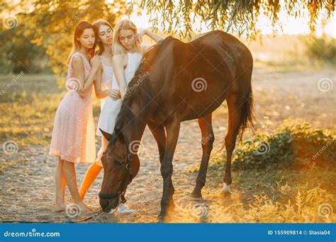 young women  standing   horse  sunset stock photo