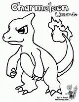 Coloring Pages Pokemon Charmander Charmeleon Printable Bulbasaur Chameleon Color Print Kids Wartortle Para Real Clipart Popular Adults Getcolorings Sheet Collection sketch template