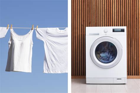 air dry  machine dry  clothes trusted