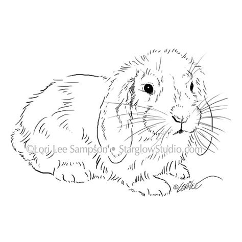 lop eared clipart   cliparts  images  clipground