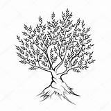 Tree Outline Banyan Drawing Olive Silhouette Icon Stock Illustration Getdrawings Vector Mail Background Oak Depositphotos sketch template