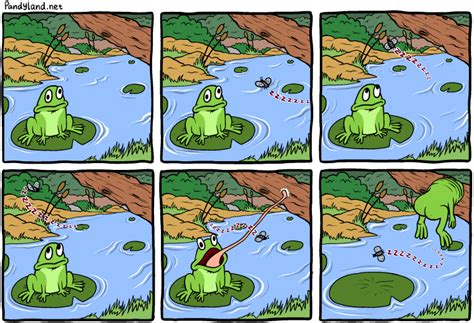 Frog Vs Annoying Fly In Comic By Pandyland