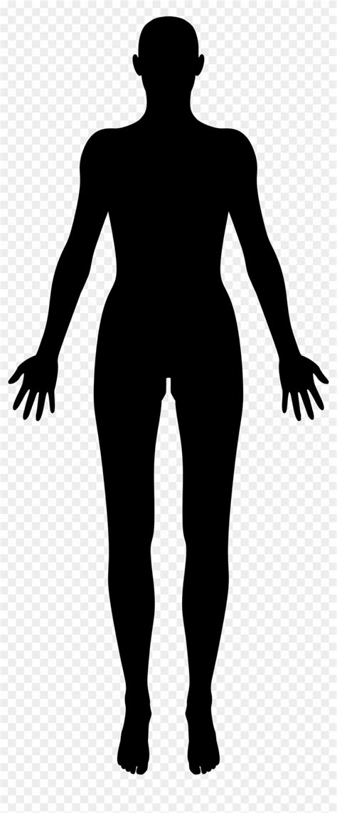 female body outline template clipart  kulturaupice