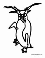 Antarctica Penguin sketch template