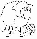 Coloring Sheep Pages Shaun Flower Beautiful Bighorn Kids Color Gif sketch template