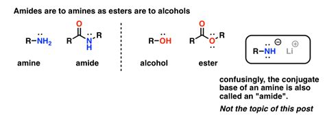amide functional group properties synthesis  nomenclature