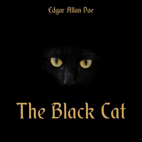 black cat edgar allan poe pictures