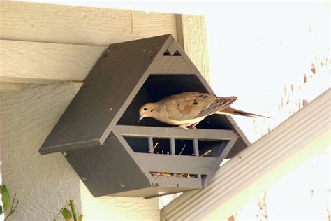 doves love  lovey dovey birdhouses gardening  bird house kits bird house feeder