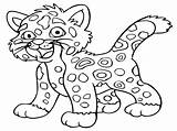 Leopardo Sonriendo Dibujosonline Categorias sketch template