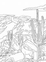 Saguaro Kleurplaat Nationale Parken Malvorlage sketch template