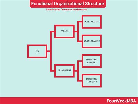 functionele organisatiestructuur fourweekmba