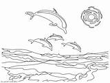Pages Coloring Dolphin Tale Zoom Getcolorings Print Getdrawings sketch template