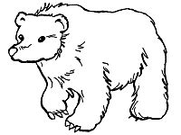 bears coloring pages  printable activities