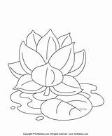 Lotus Turtlediary Turtle Learn Designlooter sketch template
