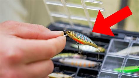 trout love these japanese baits but nobody knows about them trout