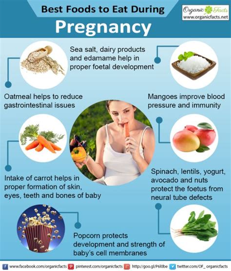 15 Best Foods To Eat During Pregnancy Organic Facts