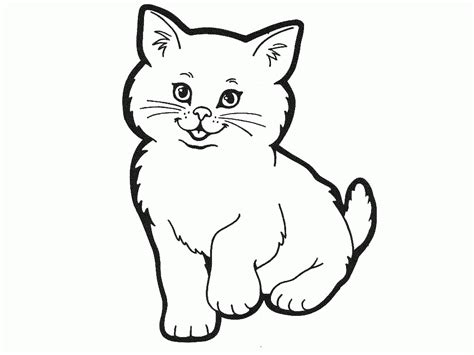 outline  cat coloring home