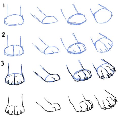 cat paw drawing   cat paw drawing png images