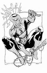 Spiderman Spider Robertatkins Avengers Hombre Araña Colorier Héros Atkins Robert Pintar Les Graphique Crayon Batman Cómics Cómic sketch template