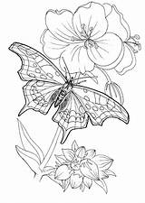 Butterfly Coloring Pages Kids Butterflies Lands Print sketch template