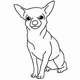 Chihuahua Dog Drawing Netart Chihuahuas Outline Autism Pecs Ausmalbilder Clipartmag Colorings Hunde Coloring sketch template