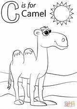 Coloring Letter Camel Pages Printable Drawing Preschool Supercoloring Kids Alphabet Uae Colouring Color Sheets Toddlers National Activities Print Animal Abc sketch template