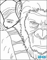Apes Simios Planeta Hellokids Imprimer Cartoon Coloriages sketch template