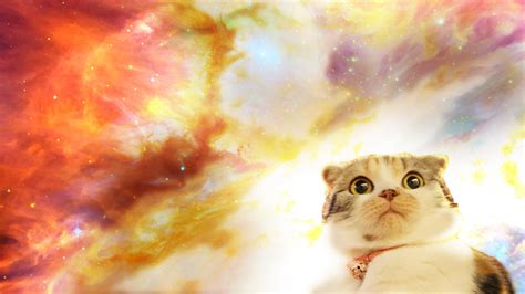 hook up your desktop with one of these awesome cats in space wallpapers caveman circus