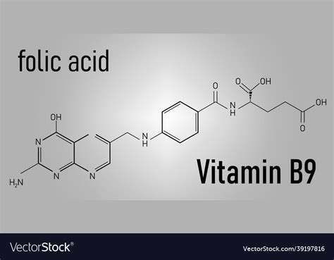 vitamin  folic acid molecule skeletal formula vector image