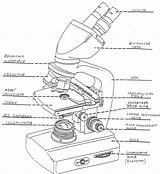 Microscope Drawing Parts Sketch Label Compound Light Binocular Simple Diagram Template Labeling Biology Worksheet Draw Drawings Getdrawings Paintingvalley sketch template