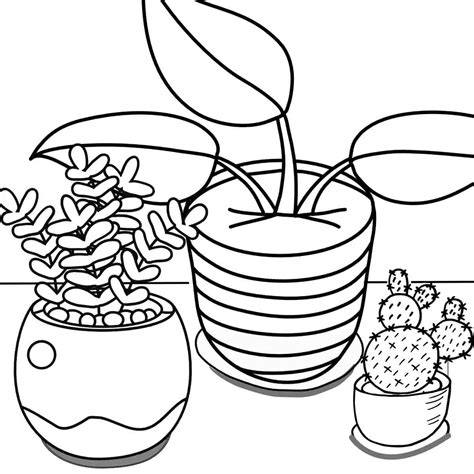 types  plants coloring pages printable templates