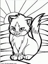 Coloring Pages Cat Printable Colouring Kitten Kittens Sheets Print Book Choose Board Books Happy sketch template