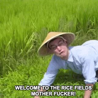 realm   ricefields filthy frank wiki fandom powered  wikia