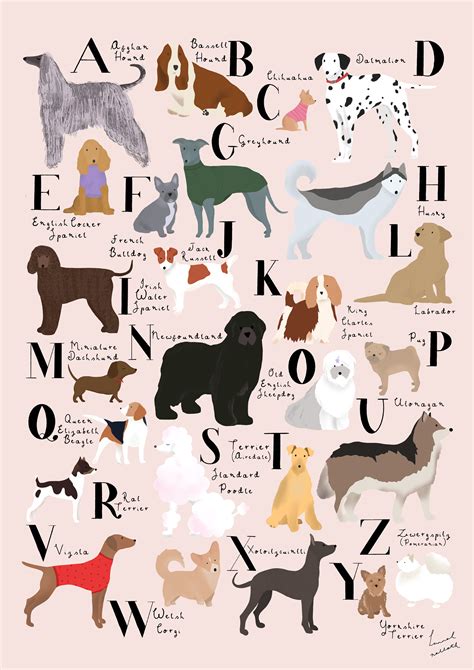 dog breeds alphabet print alphabet print dog breeds dog illustration