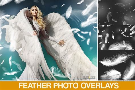 feather overlay photoshop overlay angel wings invent actions
