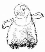 Pinguin Kleurplaten sketch template