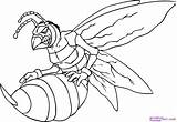 Hornets Wasp Hornet Coloringhome sketch template