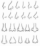 Nose Drawing Noses Realistic Types Paint Cartoon Photoshop Learn Shapes Adobe Simple Angles Various Nariz Drawings Face Tipos Easy Sketches sketch template