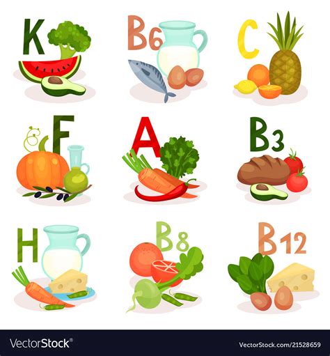 food sources   vitamins healthy vector image