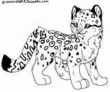 Leopard Coloring Pages Print Animals Snow Cartoon Drawing Cute Printable Clipart Color Kids Animal Leopards Clouded Drawings Clip Craft Popular sketch template