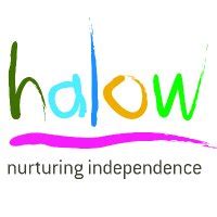halow project company profile endole