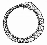 Ouroboros Uroboros Infinity Serpientes Lem Yin Aventar Uroboro Clipartmag Brave Genio sketch template