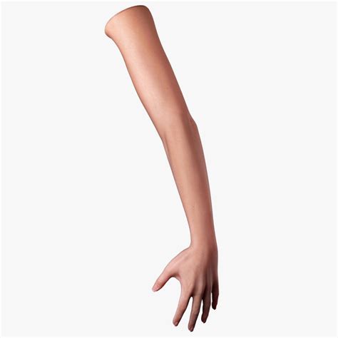 dsmax female arm