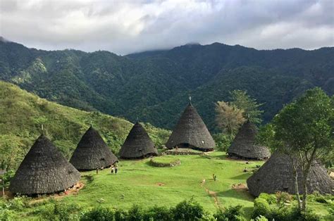 Wae Rebo Ntt Daya Tarik Sejarah Dan Cara Ke Desa Adat Waerebo